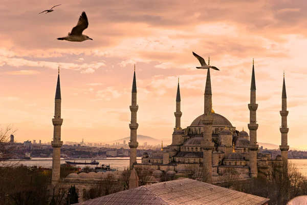 Den blå moské, istanbul, Turkiet. Stockbild
