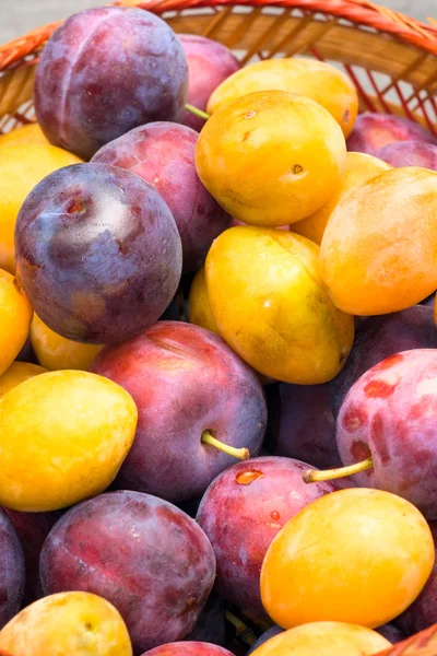 Basket of fruits, yellow and purple plum. Stock Photo