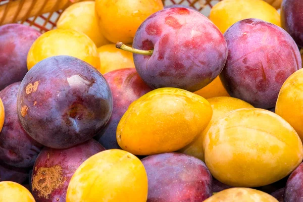 Basket of fruits, yellow and purple plum. Stock Image