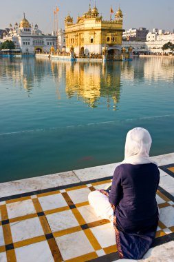 Amritsar 'daki Altın Tapınak, Punjab, Hindistan.