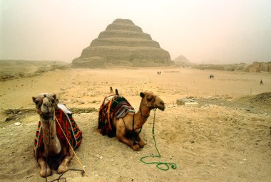 Saqqara, The Step Pyramid of Zoser, Egypt. clipart