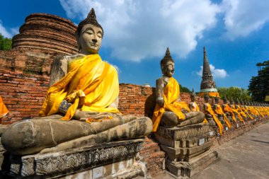 Mahvolmuş Eski Ayutthaya Tapınağı, Tayland,