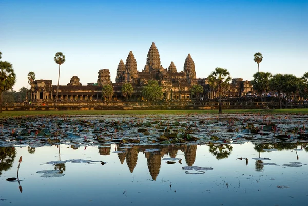 Angkor wat, siem hasadı, Kamboçya. — Stok fotoğraf