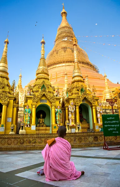 年轻的女士和尚祈祷在 shwedagon 帕亚、 仰光、 缅甸. — 图库照片