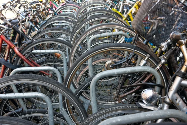 Estacionamento de bicicleta, Amsterdã — Fotografia de Stock