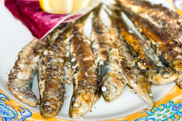 烤的新鲜 sardins — 图库照片