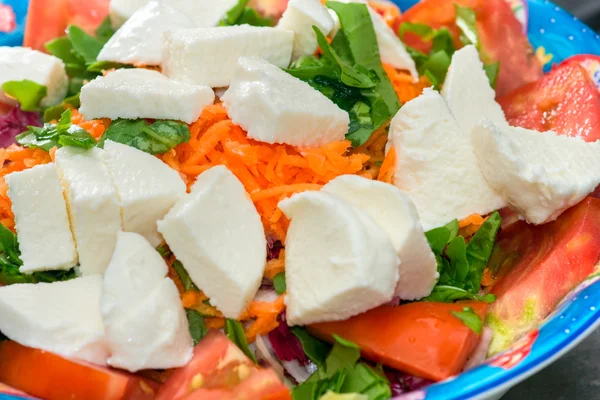 Mix sallad med mozzarella. — Stockfoto