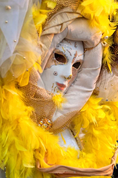 Venice Mask, Carnival. Stock Photo