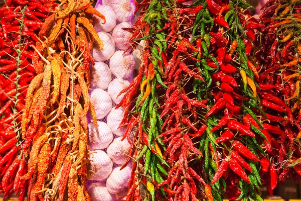 Vitlök och röd och grön varm paprika bakgrund — Stockfoto