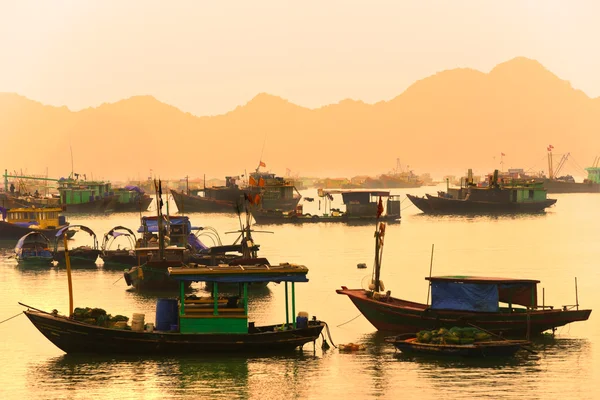 Halong bay, vietnam. UNESCO werelderfgoed. — Stockfoto