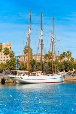 Barcelona bağlantı noktası