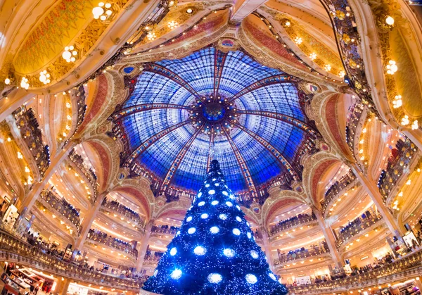 Vánoční stromeček na galeries lafayette — Stock fotografie