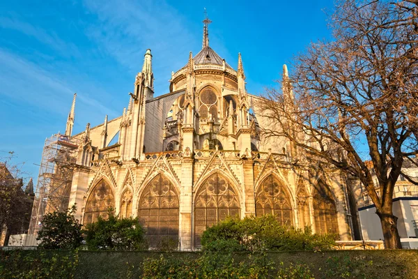 Notre dame de Paris, France. — Stock Photo, Image