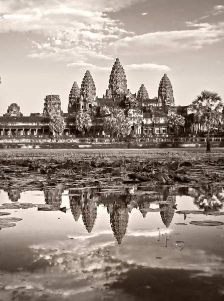 Angkor wat — Foto Stock