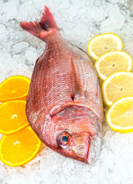 Frutos do mar no gelo no mercado de peixe — Fotografia de Stock
