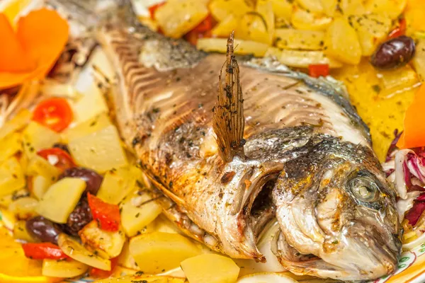 Färsk fisk tillagad med potatis och tomater. — Stockfoto