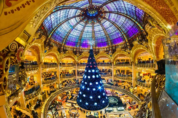 Vánoční stromeček na galeries lafayette — Stock fotografie