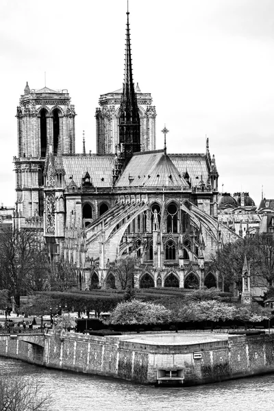 Notre dame de Paris, France. — Stock Photo, Image