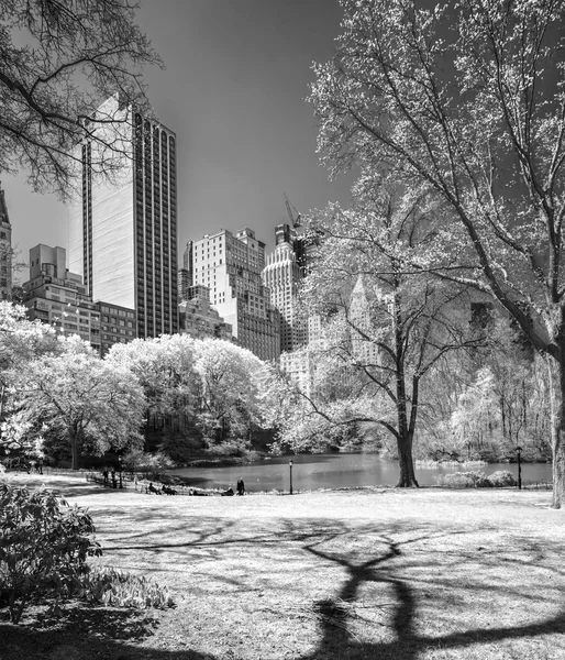 Central park, new york city. Spojené státy americké. — Stock fotografie