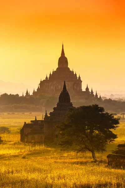 Bagan, Myanmar.. — Stok fotoğraf