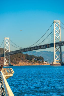 Bay bridge, San Francisco, California, USA. clipart