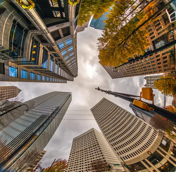 Atlanta şehir merkezinden Skyline, Georgia, ABD