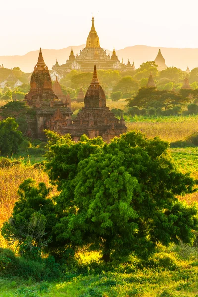 Tempio di Ananda a Bagan, Myanmar. — Foto Stock