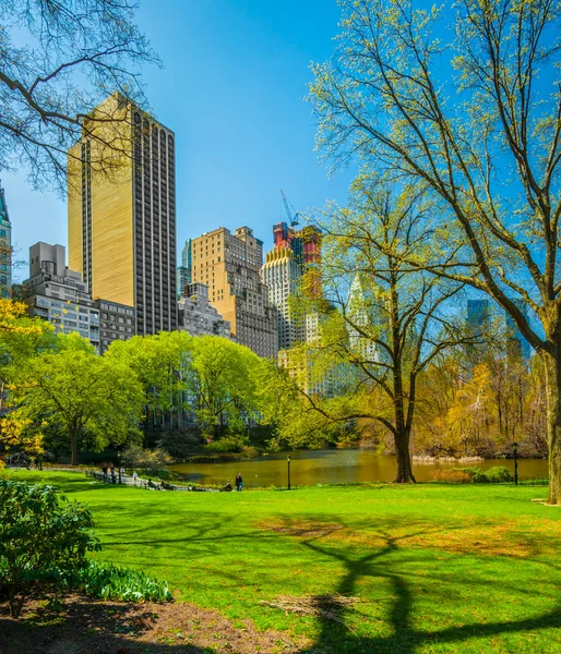Central park, new york city. Verenigde Staten. — Stockfoto