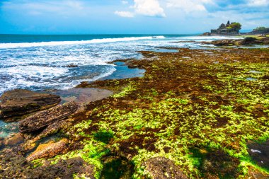 tanah çok Tapınak, bali, Endonezya.