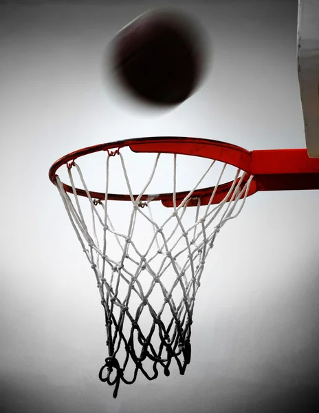 Basket sköt — Stockfoto