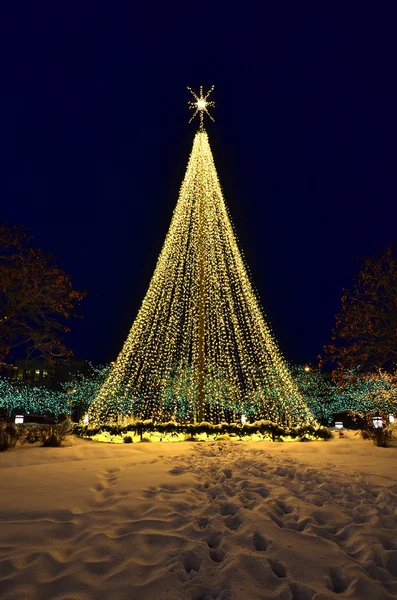 Luzes de Natal e árvore — Fotografia de Stock