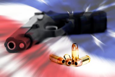 American Right to Bear Arms clipart