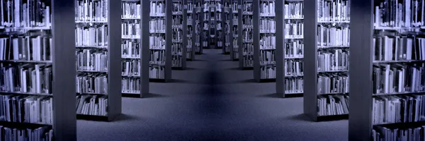 Libri biblioteca — Foto Stock