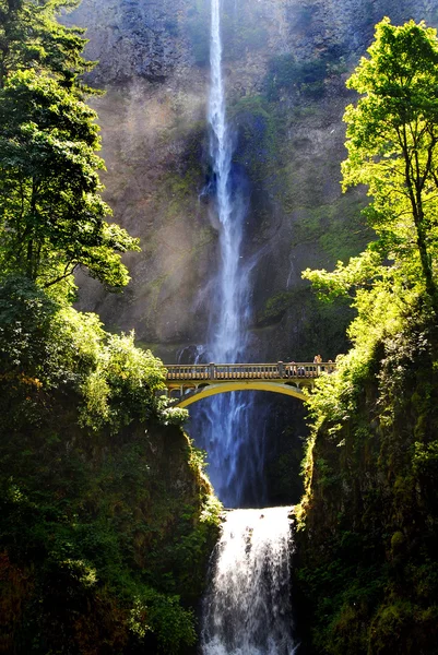 Multnomah-Wasserfälle — Stockfoto