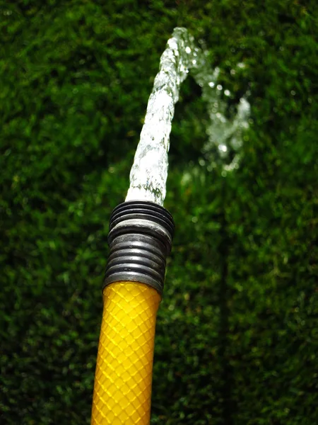 Hose on Green Grass — Stock Photo, Image