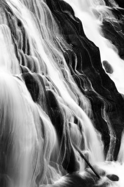 Gibbon falls yellowstone Milli Parkı