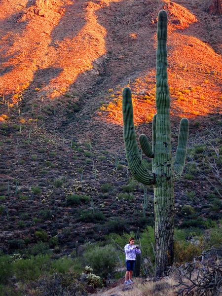 Güneybatı saguaro kaktüs kızla çöl — Stok fotoğraf