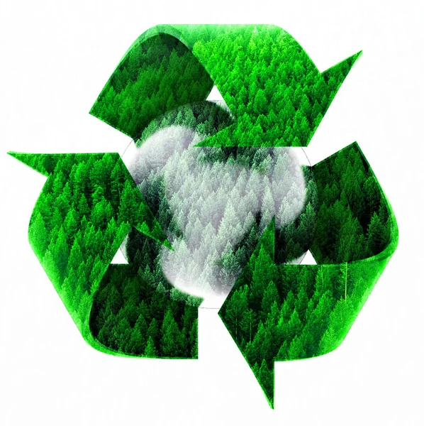 Recycle symbool met bos van pijnbomen — Stockfoto