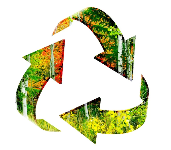 Recycle symbool met bos van herfst bomen — Stockfoto