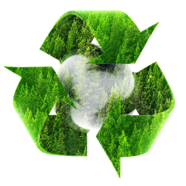 Recycle Symbol with Forest of Pine Trees — Stock Photo, Image