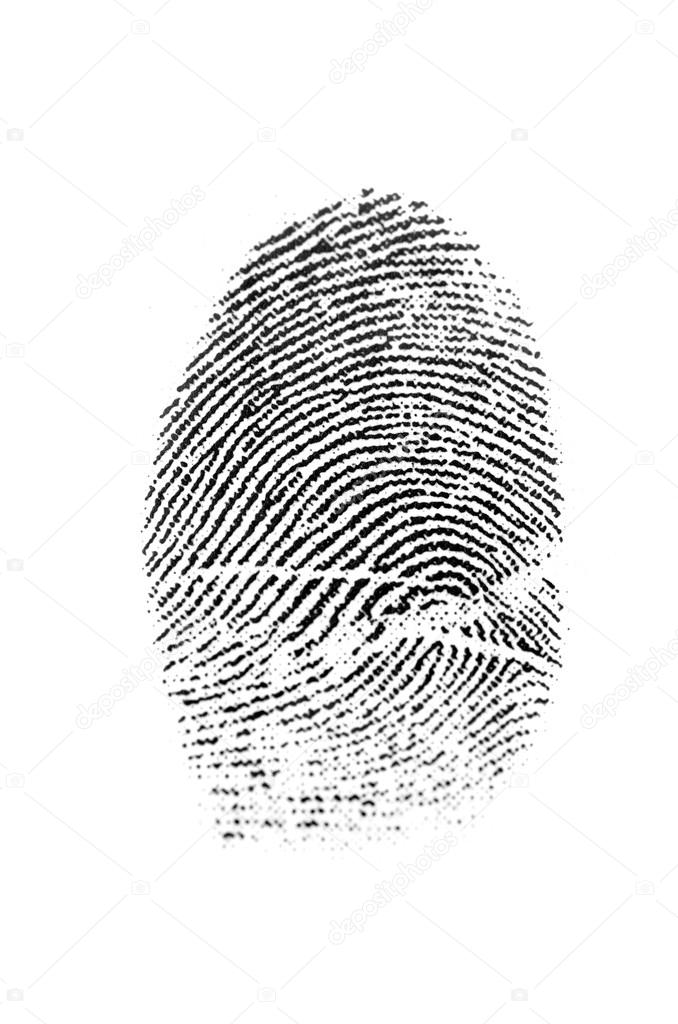 Closeup of a Fingerprint for Crime