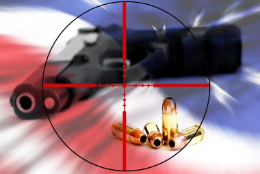 Amerikan crosshairs silah taşıma hakkı