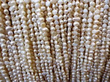 dizeleri beyaz boncuk