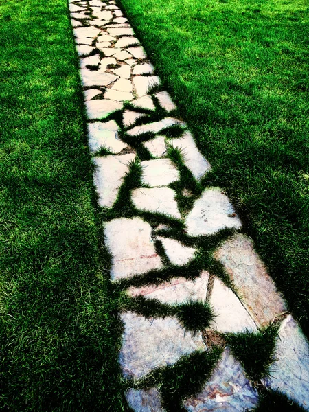 Cobblestone Walking Path in Green Grass — Stock Photo, Image
