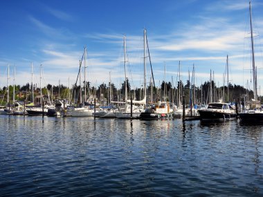 Marina docked Yelkenliler