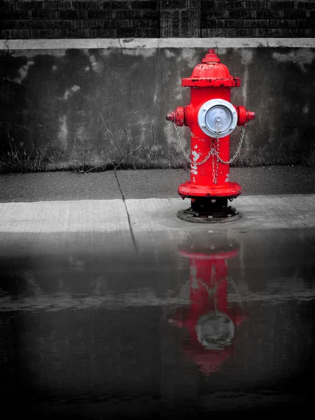 Red brandkraan weerspiegeld in de plas van water — Stockfoto