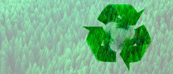 Recycle Symbol View Forest Green Pine Trees Mountainside White Background — Stock Photo, Image