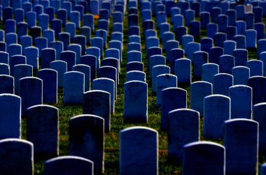 ABD askeri üyeleri için mezar taşları ve mezar taşlarıyla Arlington Mezarlığı