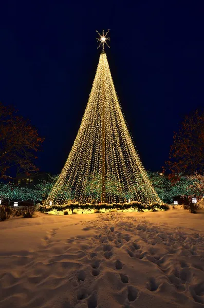 Salt Lake City Temple Square Podczas Wakacji Christmas Lights Choinki — Zdjęcie stockowe