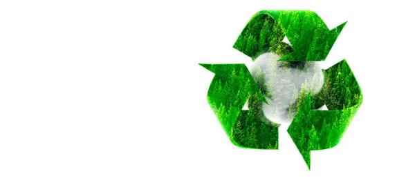 Recycle Symbol View Forest Green Pine Trees Mountainside White Background — Stock Photo, Image